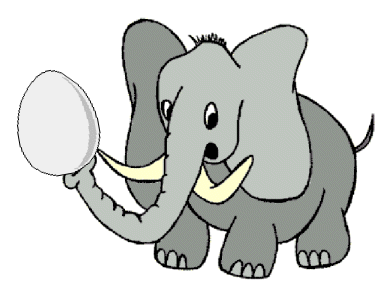 elephant img