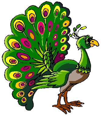 peacock img